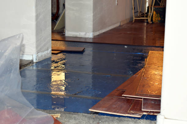 Professional Basement Flood Cleanup technician working in Arcadia, LA